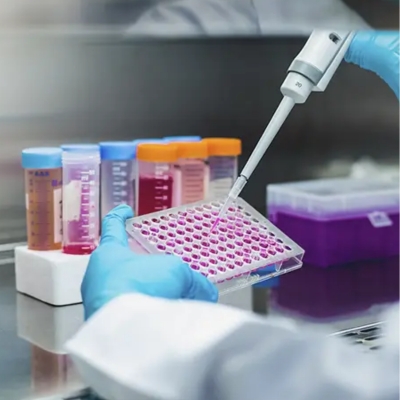 Productos In Vitro